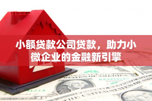 桃山小额贷款公司贷款，助力小微企业的金融新引擎