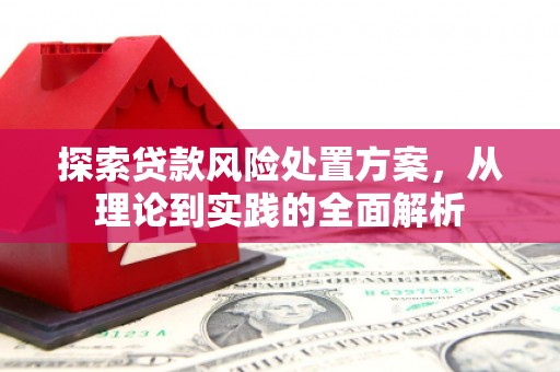 桃山探索贷款风险处置方案，从理论到实践的全面解析