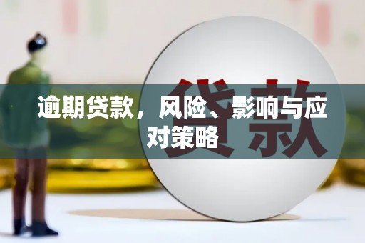 桃山逾期贷款，风险、影响与应对策略