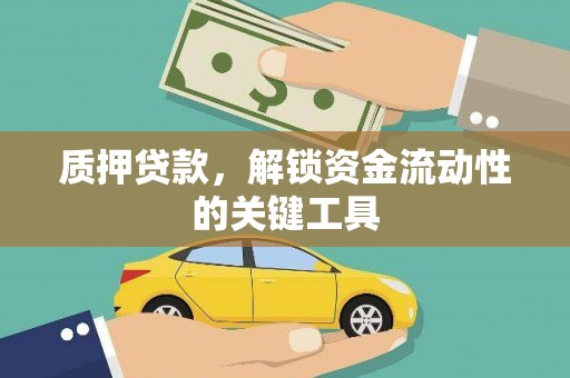 桃山质押贷款，解锁资金流动性的关键工具