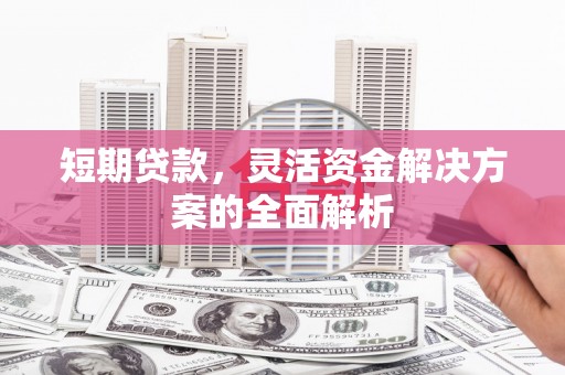 桃山短期贷款，灵活资金解决方案的全面解析