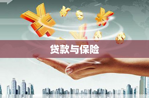桃山贷款与保险