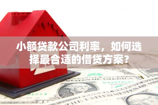 桃山小额贷款公司利率，如何选择最合适的借贷方案？