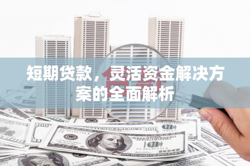 桃山短期贷款，灵活资金解决方案的全面解析