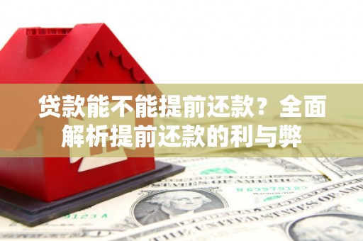 桃山贷款能不能提前还款？全面解析提前还款的利与弊