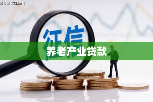 桃山养老产业贷款
