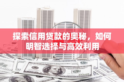 桃山探索信用贷款的奥秘，如何明智选择与高效利用