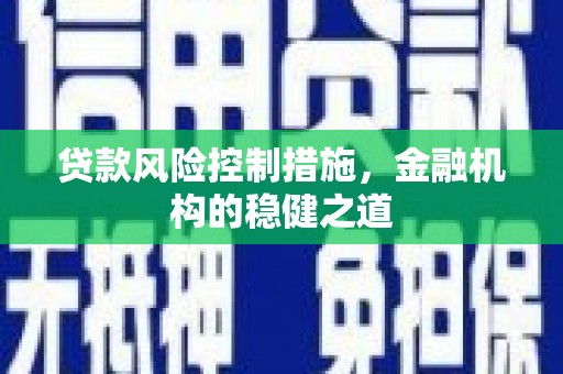 桃山贷款风险控制措施，金融机构的稳健之道