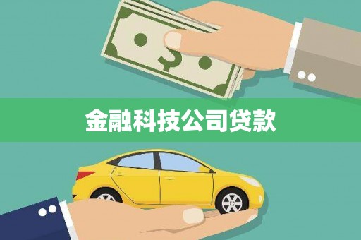 桃山金融科技公司贷款