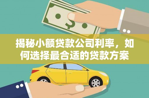 桃山揭秘小额贷款公司利率，如何选择最合适的贷款方案