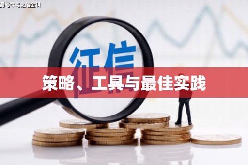 桃山策略、工具与最佳实践