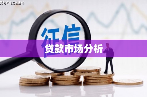 桃山贷款市场分析