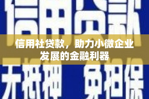 桃山信用社贷款，助力小微企业发展的金融利器