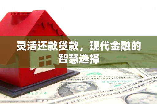 桃山灵活还款贷款，现代金融的智慧选择