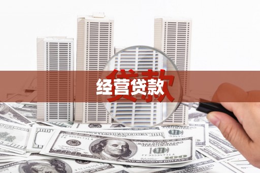 桃山经营贷款
