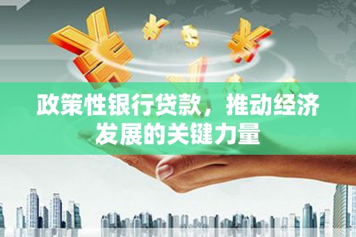 桃山政策性银行贷款，推动经济发展的关键力量