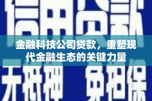 桃山金融科技公司贷款，重塑现代金融生态的关键力量