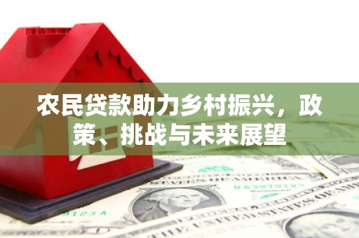 桃山农民贷款助力乡村振兴，政策、挑战与未来展望
