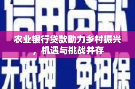 桃山农业银行贷款助力乡村振兴，机遇与挑战并存