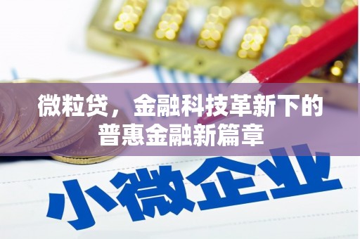桃山微粒贷，金融科技革新下的普惠金融新篇章