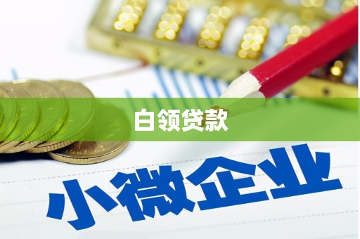 桃山白领贷款