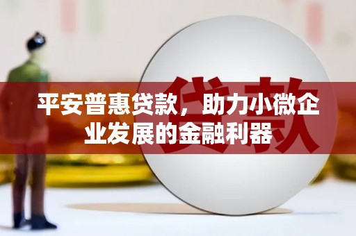 桃山平安普惠贷款，助力小微企业发展的金融利器