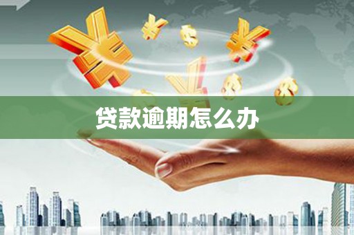 桃山贷款逾期怎么办