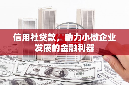 桃山信用社贷款，助力小微企业发展的金融利器