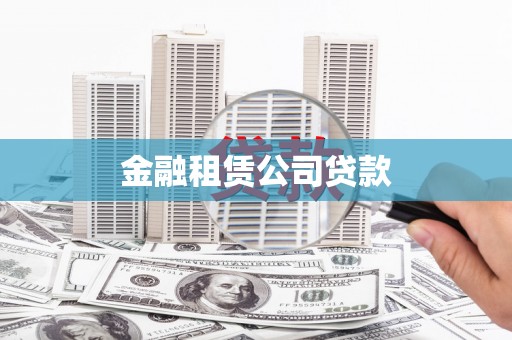 桃山金融租赁公司贷款