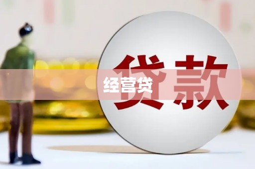 桃山经营贷