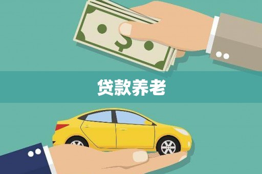 桃山贷款养老