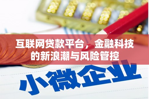 桃山互联网贷款平台，金融科技的新浪潮与风险管控