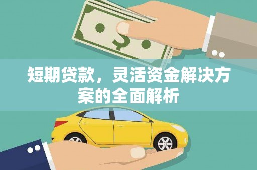 桃山短期贷款，灵活资金解决方案的全面解析