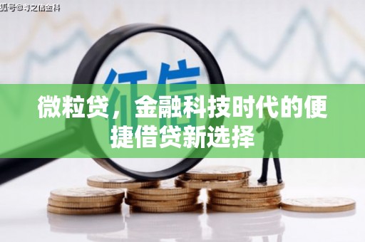 桃山微粒贷，金融科技时代的便捷借贷新选择