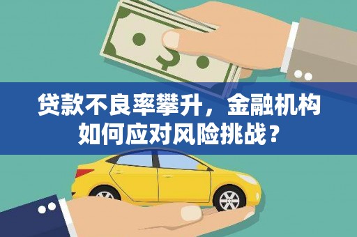 桃山贷款不良率攀升，金融机构如何应对风险挑战？