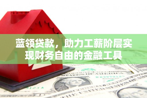 桃山蓝领贷款，助力工薪阶层实现财务自由的金融工具