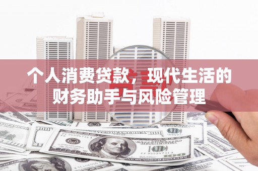 桃山个人消费贷款，现代生活的财务助手与风险管理