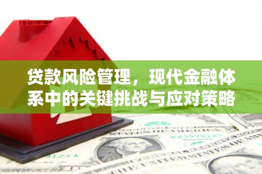 桃山贷款风险管理，现代金融体系中的关键挑战与应对策略