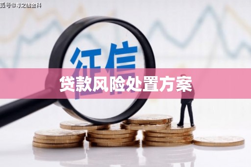 桃山贷款风险处置方案