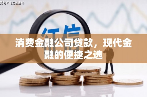 桃山消费金融公司贷款，现代金融的便捷之选