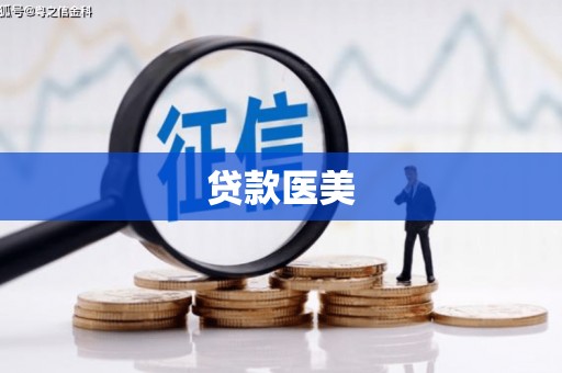 桃山贷款医美