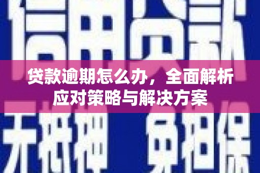 桃山贷款逾期怎么办，全面解析应对策略与解决方案