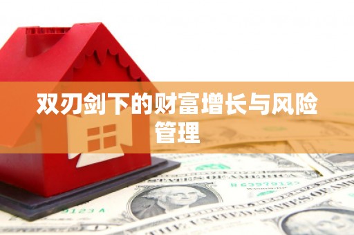 桃山双刃剑下的财富增长与风险管理