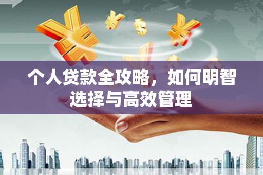 桃山个人贷款全攻略，如何明智选择与高效管理