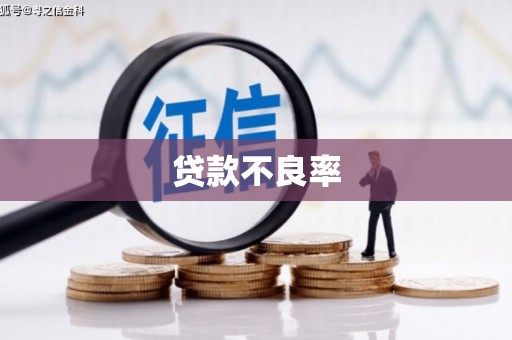 桃山贷款不良率