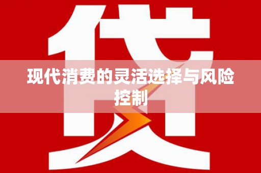 桃山现代消费的灵活选择与风险控制