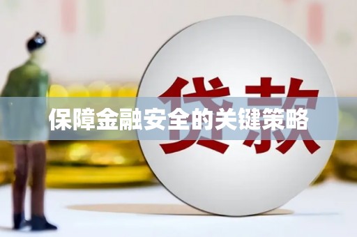 桃山保障金融安全的关键策略