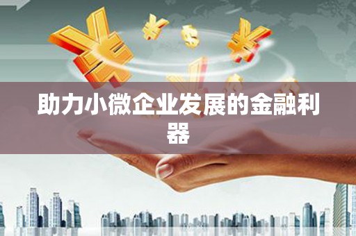 桃山助力小微企业发展的金融利器