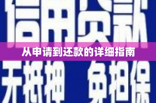 桃山从申请到还款的详细指南