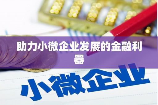 桃山助力小微企业发展的金融利器